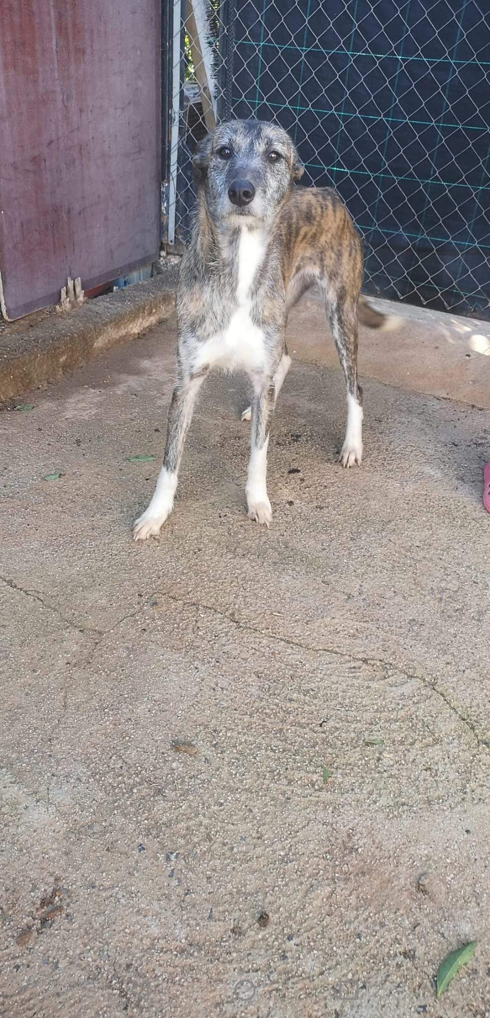 luna_1221511820189104