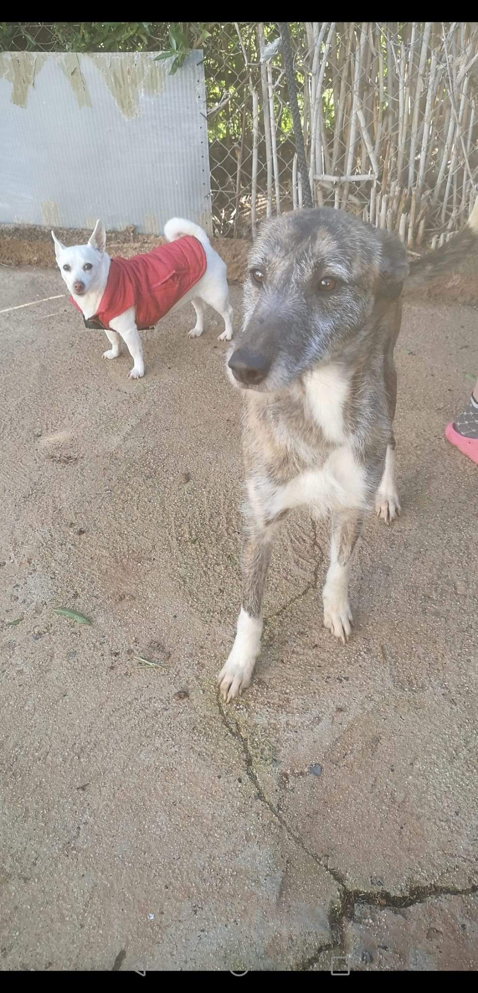 luna_1221511920189094