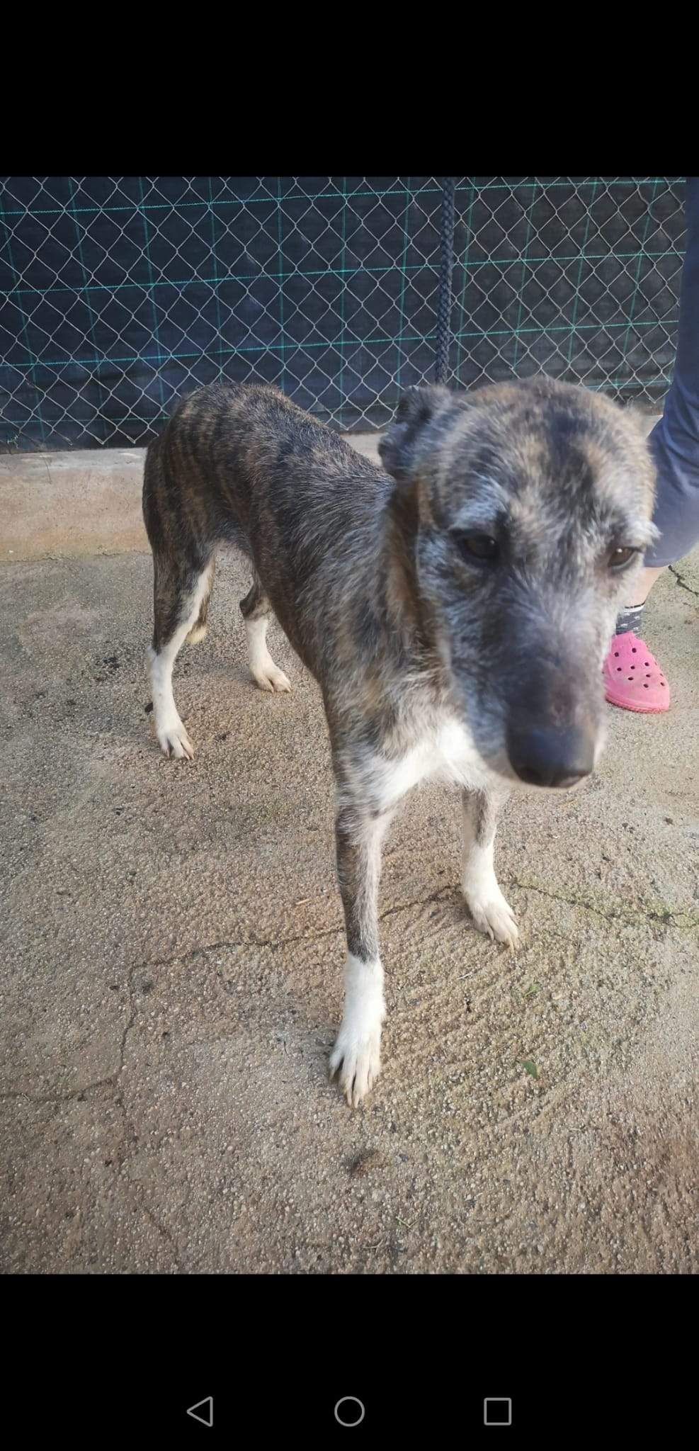 luna_1221511966855756