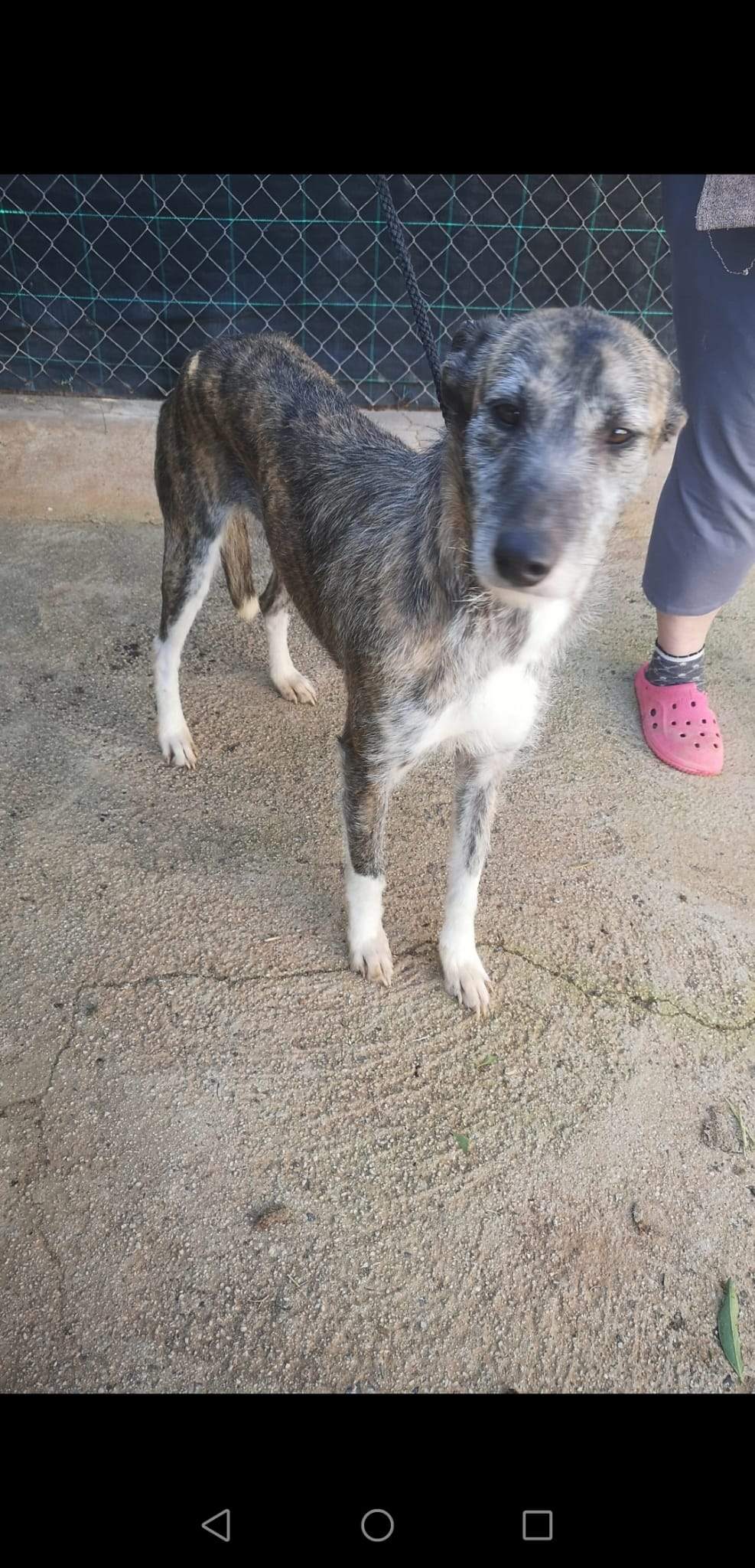 luna_1221511980189088