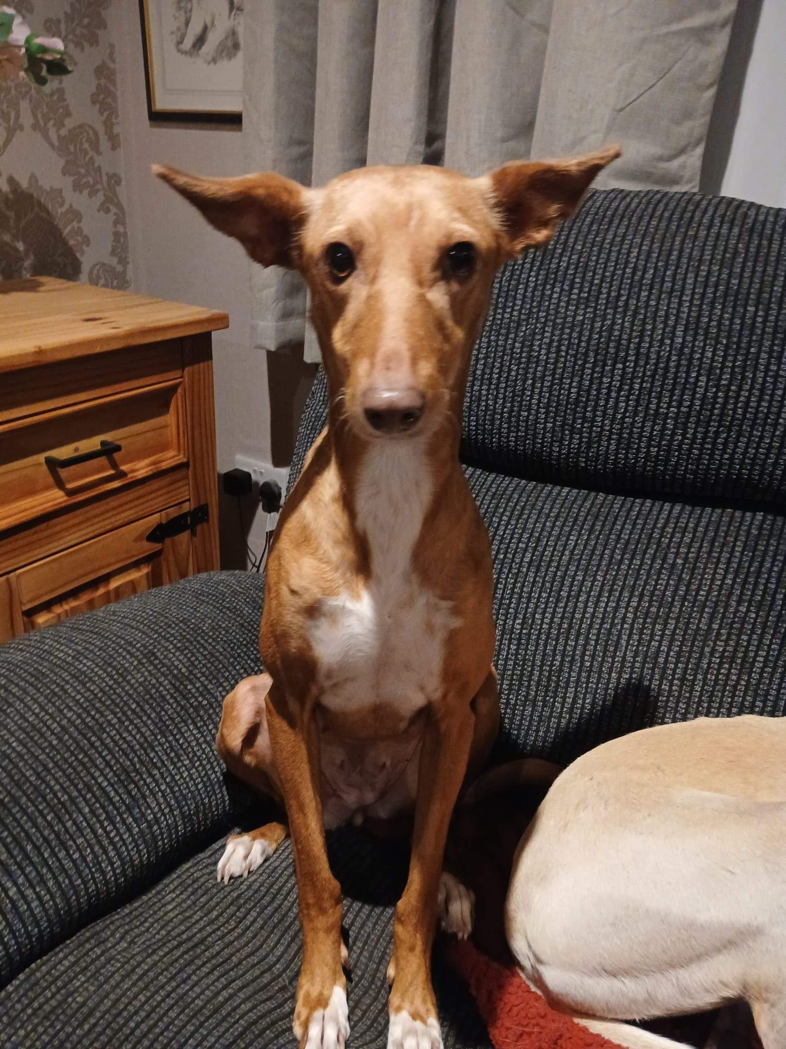 mama-lou_1144632867877000