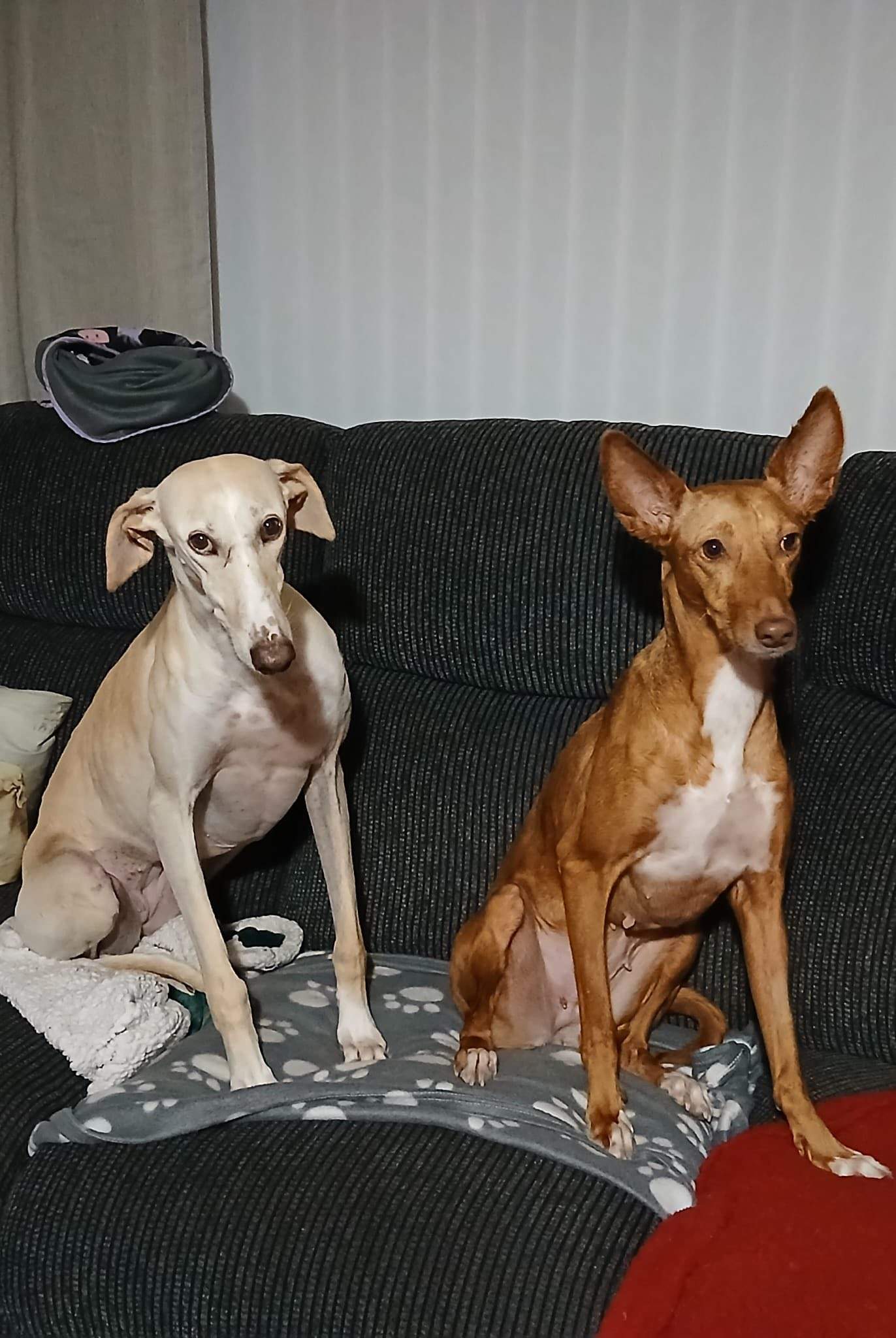 mama-lou_1144632874543666