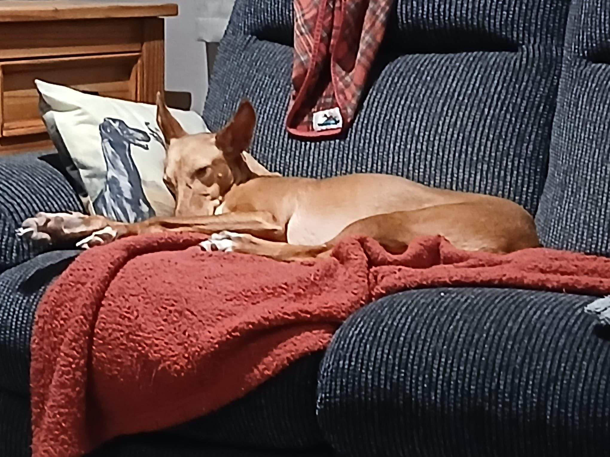 mama-lou_1144632941210326