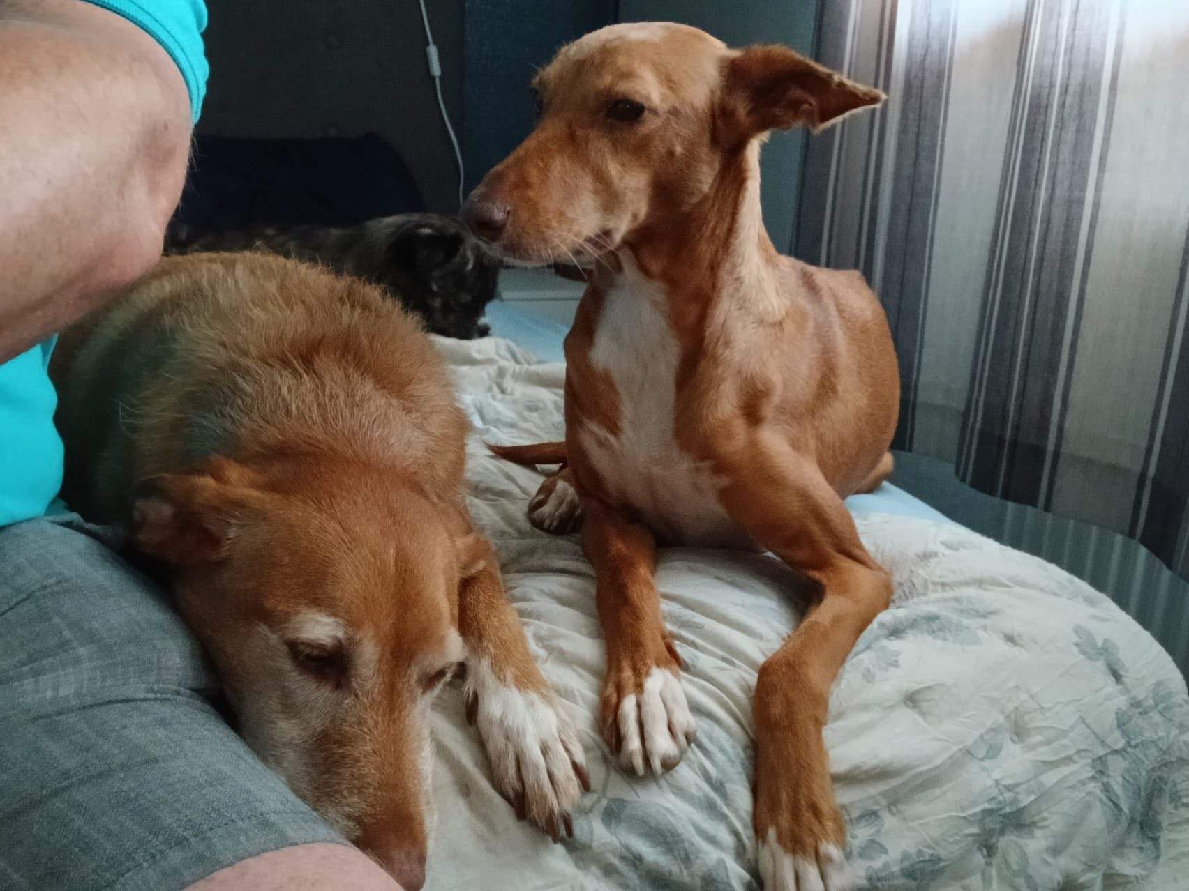 mama-lou_1144632984543655