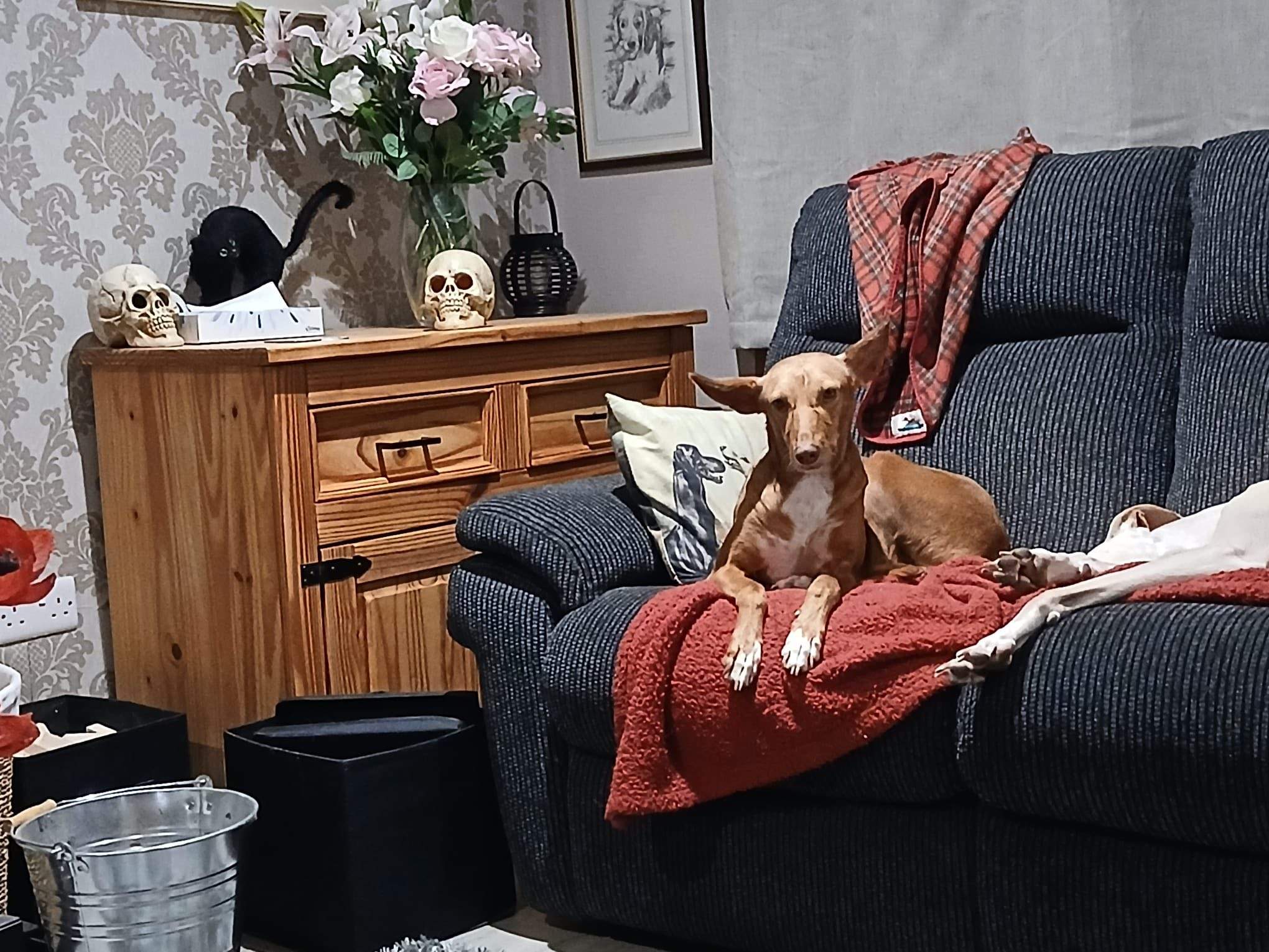 mama-lou_1144633114543642