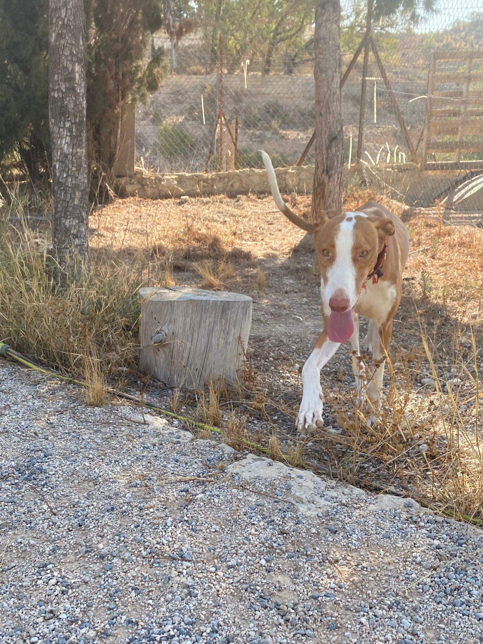 max_1070904565249831