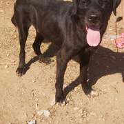 maxi_1121718310168456