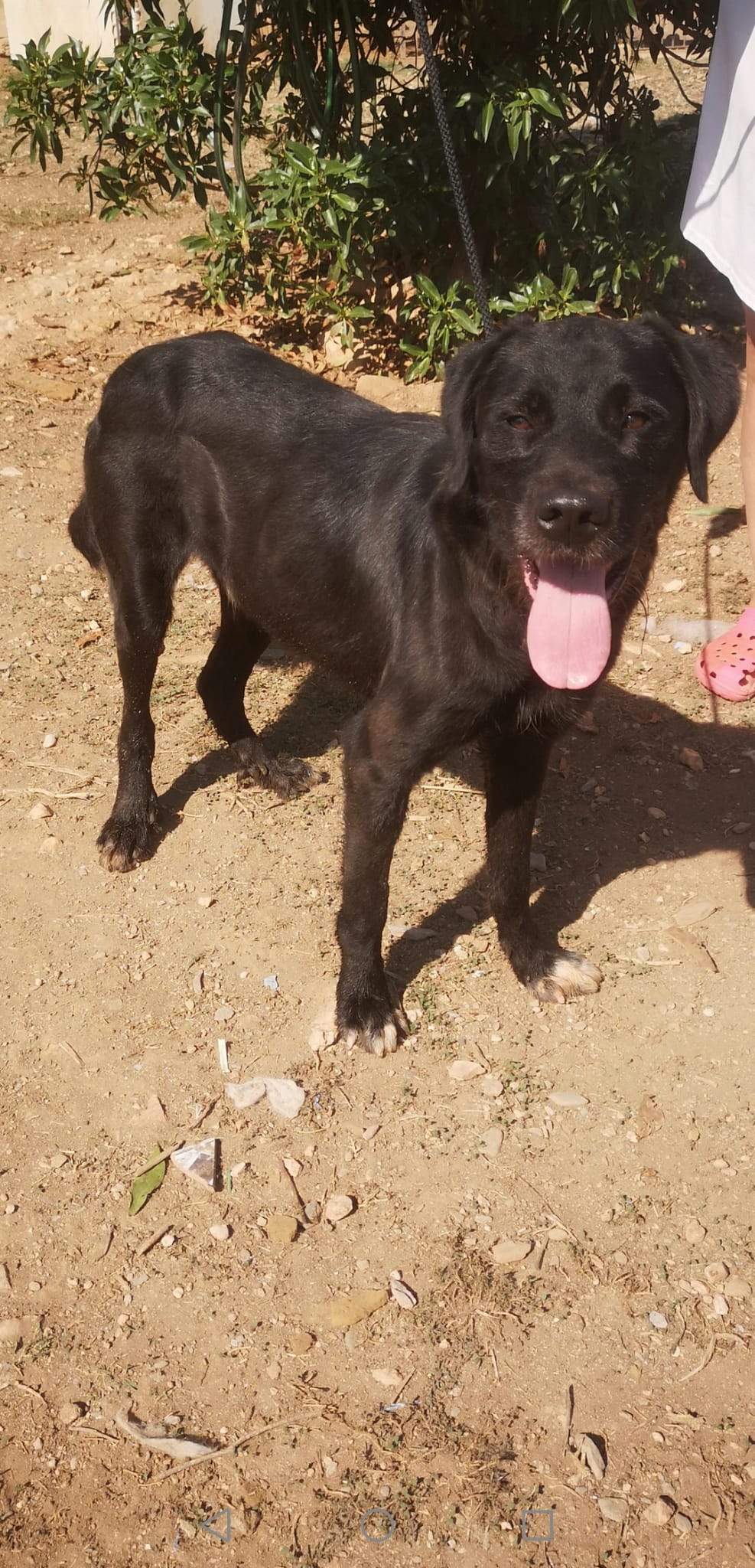 maxi_1121718310168456