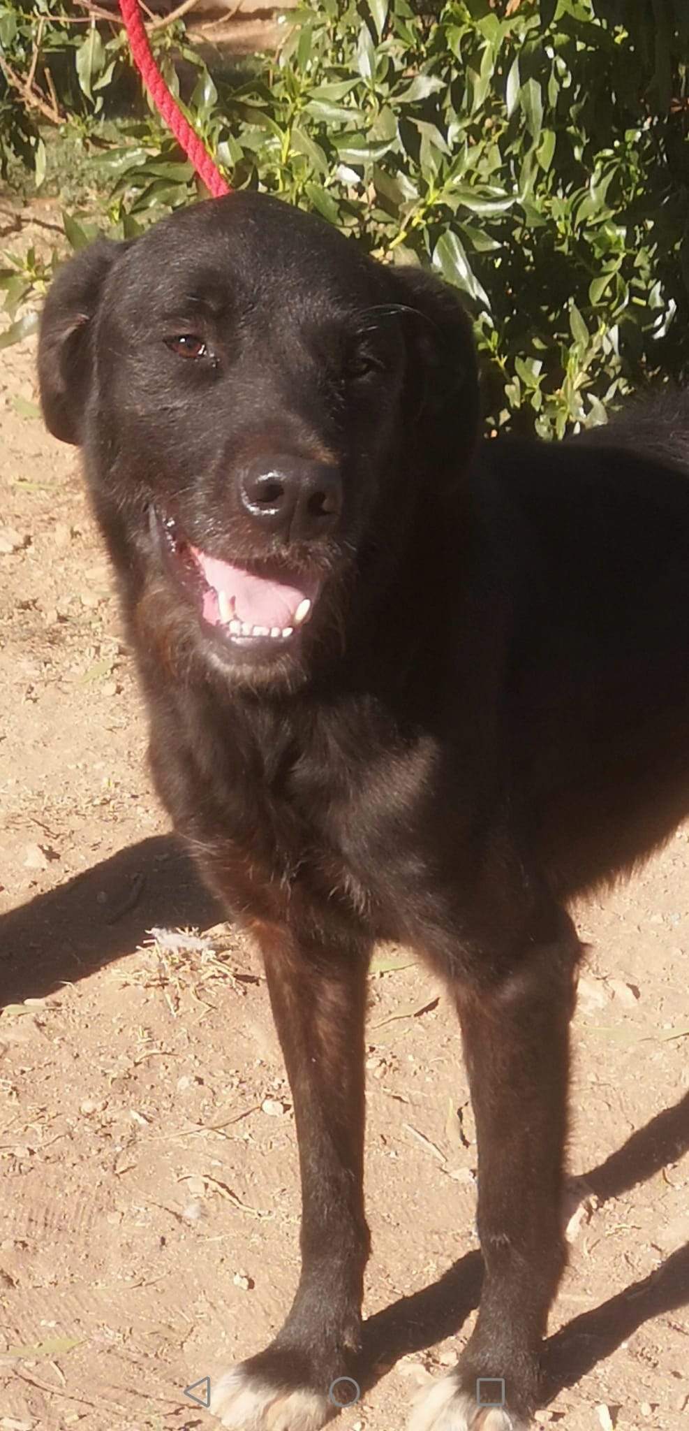 maxi_1163131612693792