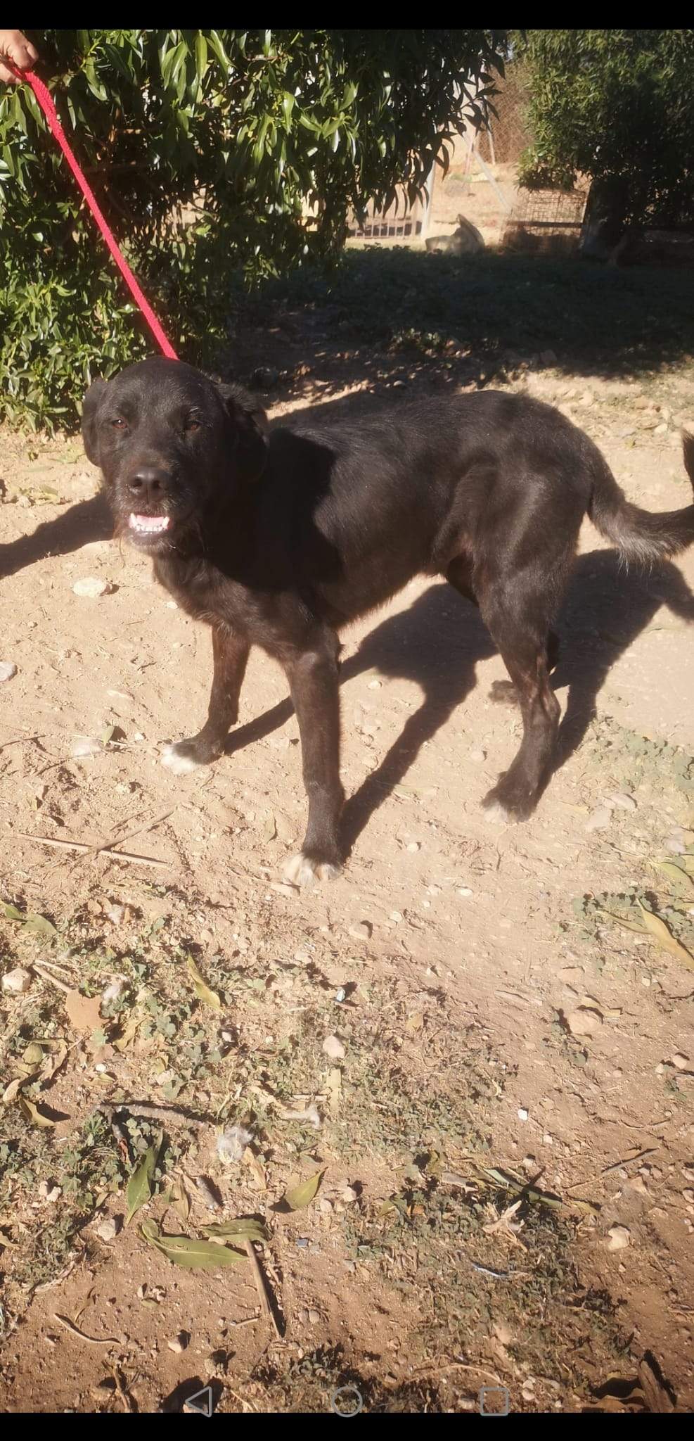 maxi_1163131629360457