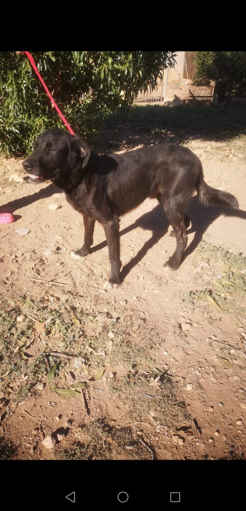 maxi_1163131709360449