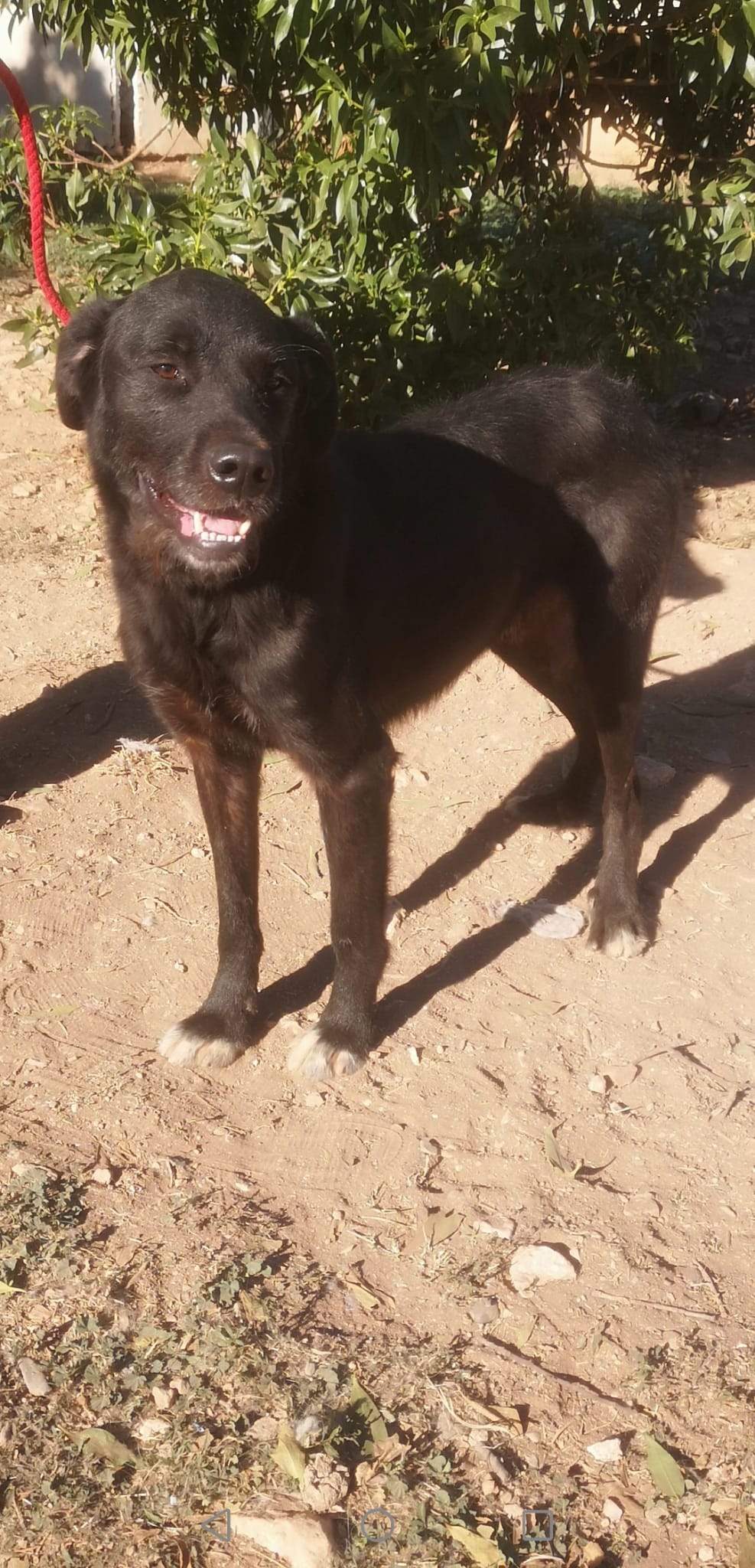 maxi_1163131726027114