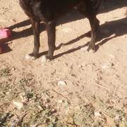 maxi_1163131749360445