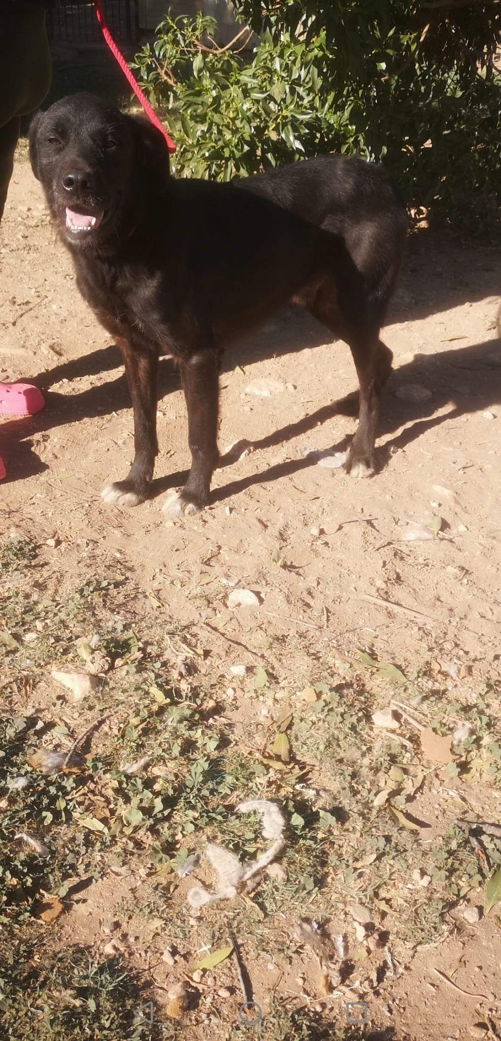 maxi_1163131749360445