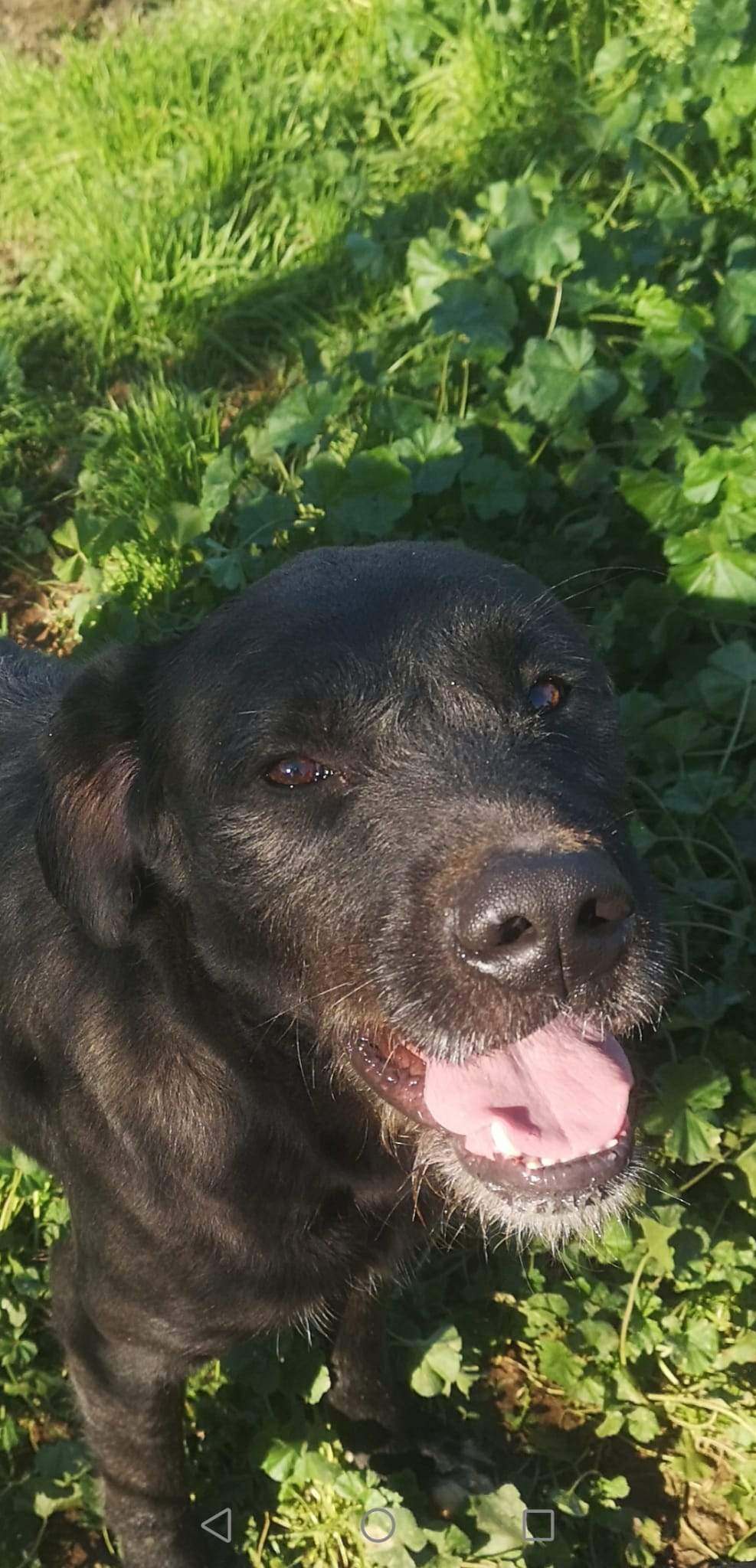 maxi_1197254899281463