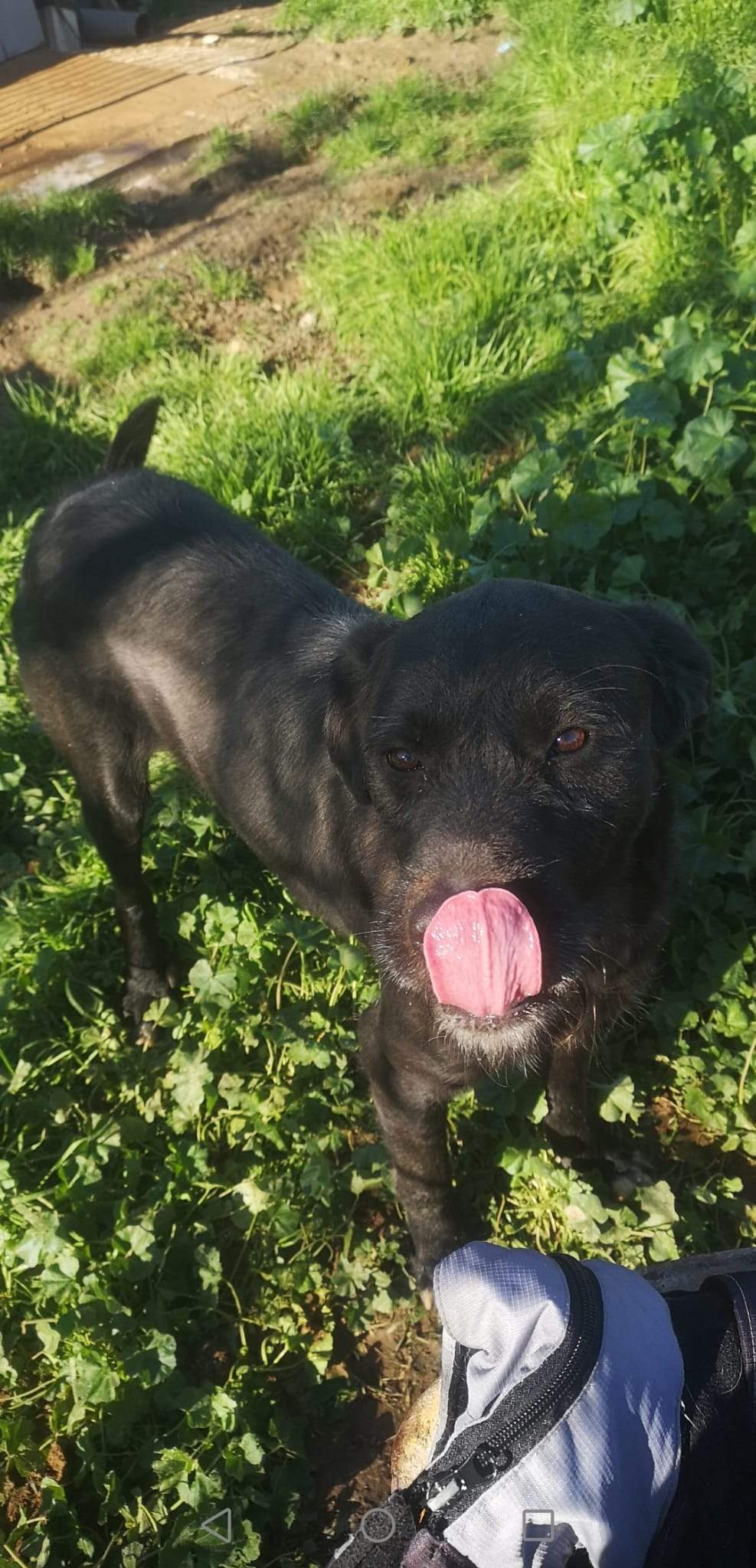 maxi_1197254912614795