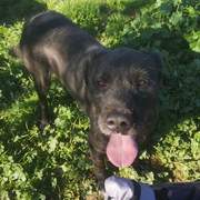 maxi_1197254919281461