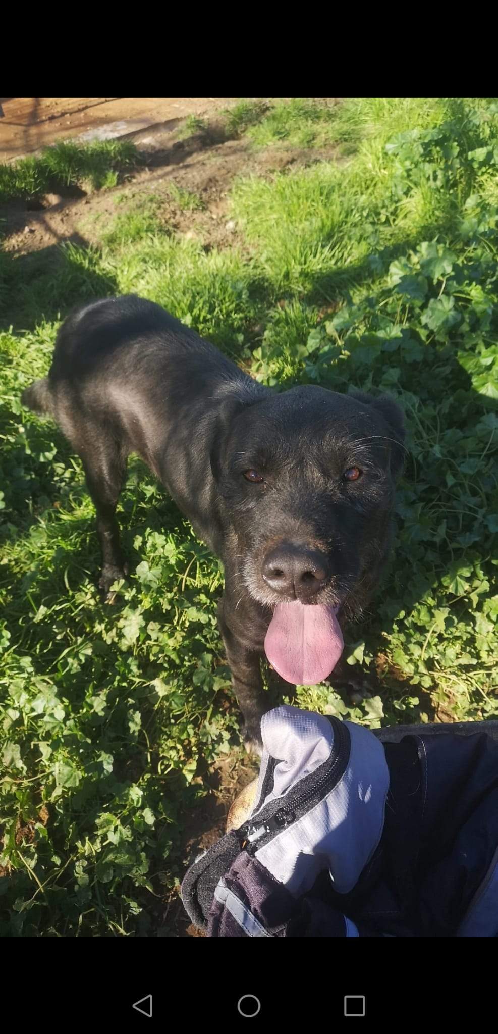 maxi_1197254919281461