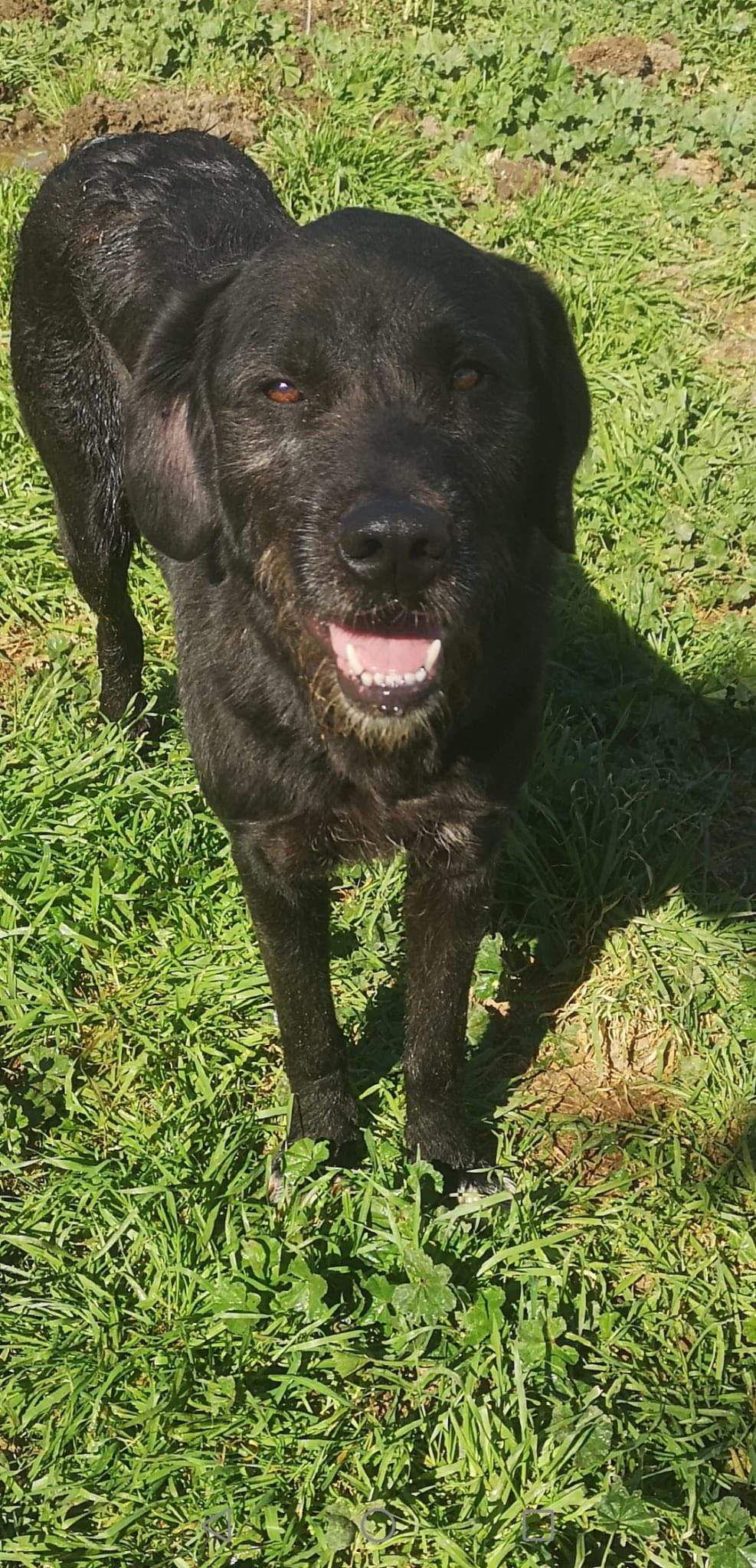 maxi_1229302906076662