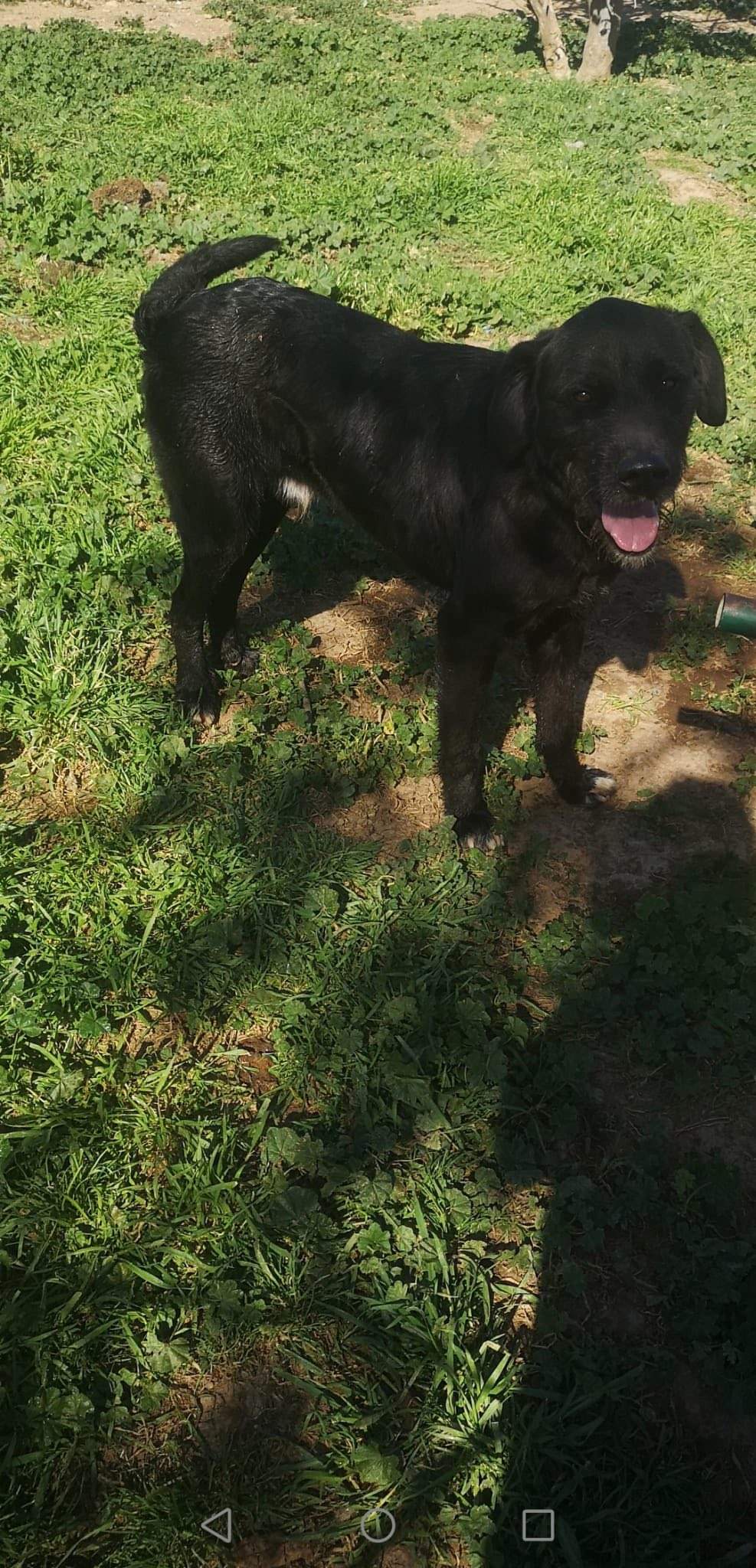 maxi_1229302919409994