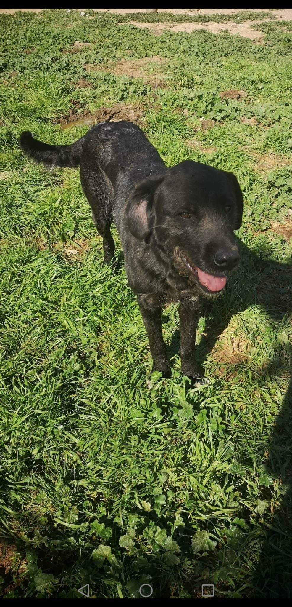 maxi_1229302972743322