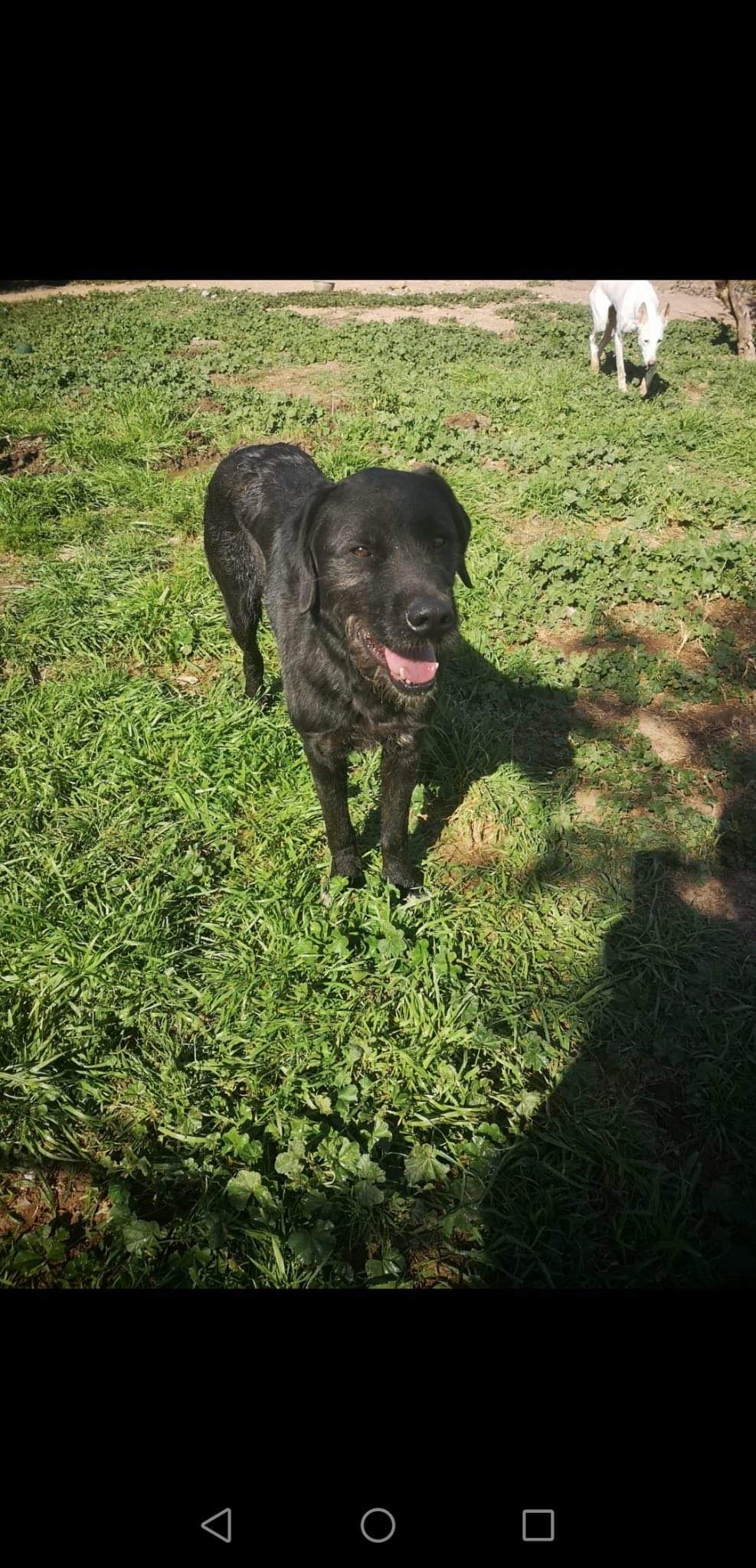 maxi_1229302989409987