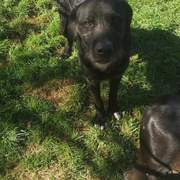 maxi_1229303026076650