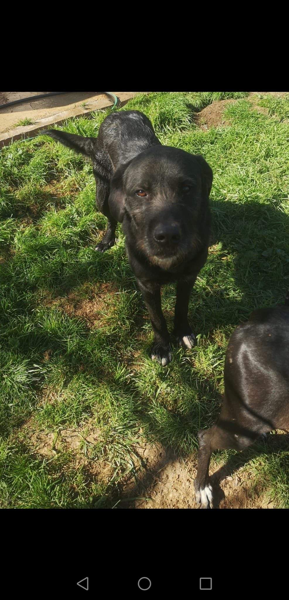 maxi_1229303026076650