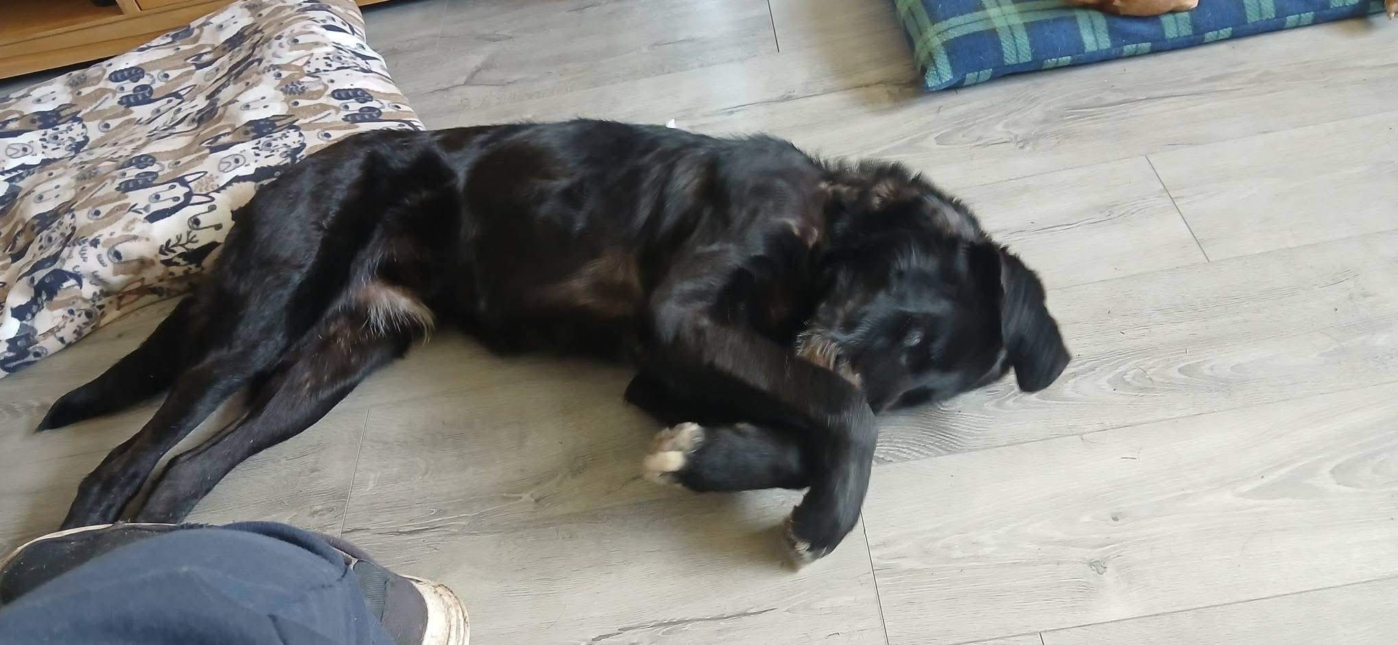 maxi_1274303651576587