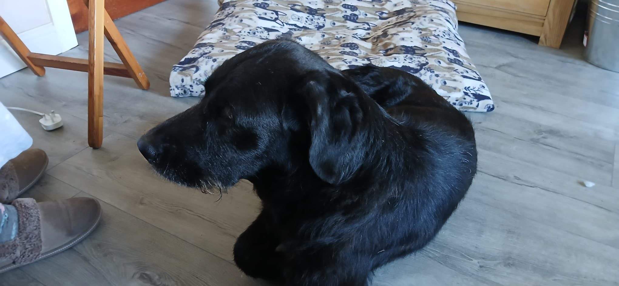 maxi_1274303674909918