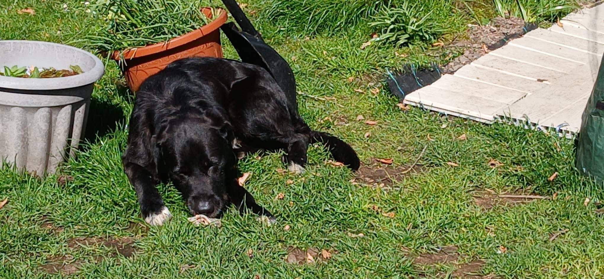 maxi_1274303704909915