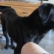 maxi_1274303744909911