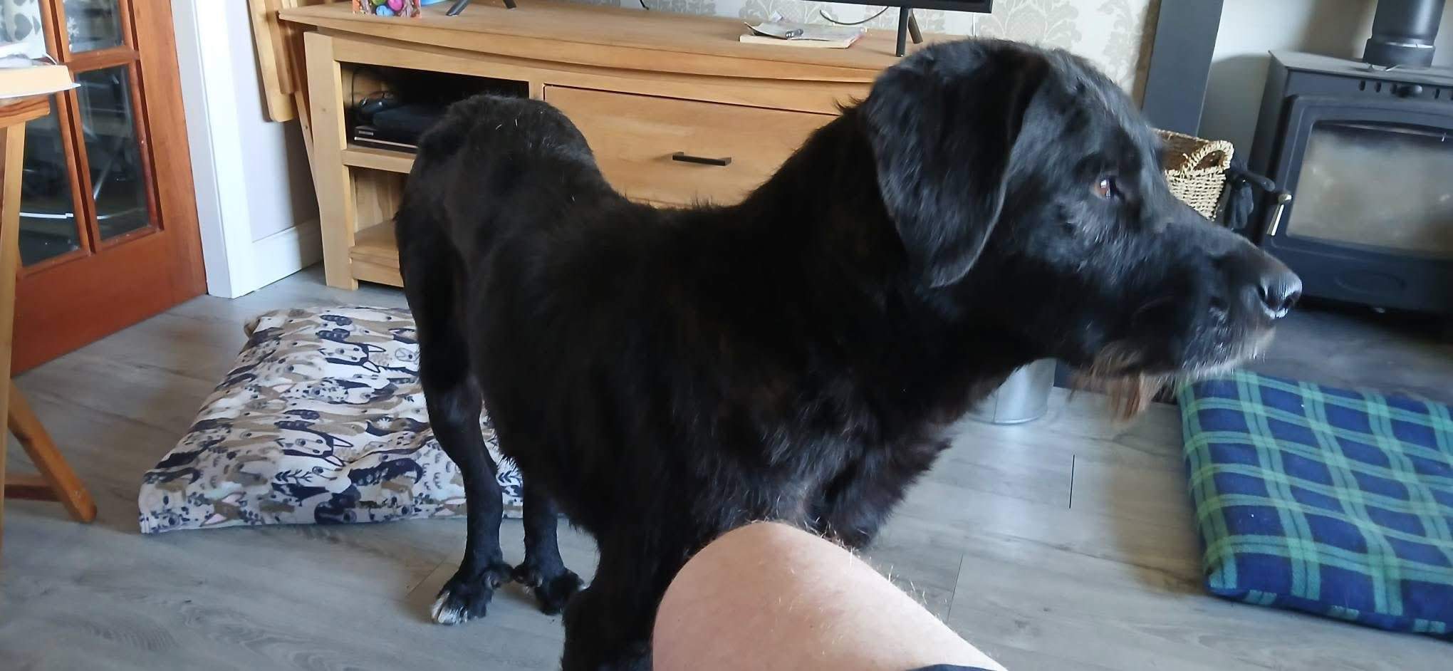 maxi_1274303744909911