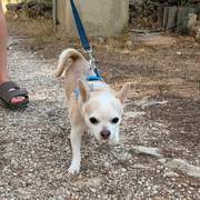 merlin-was-besitos_1389723600034591