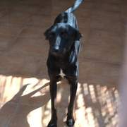 mona_1418206813852936