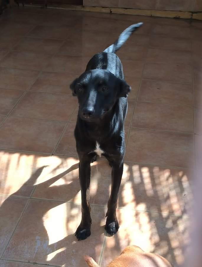 mona_1418206813852936
