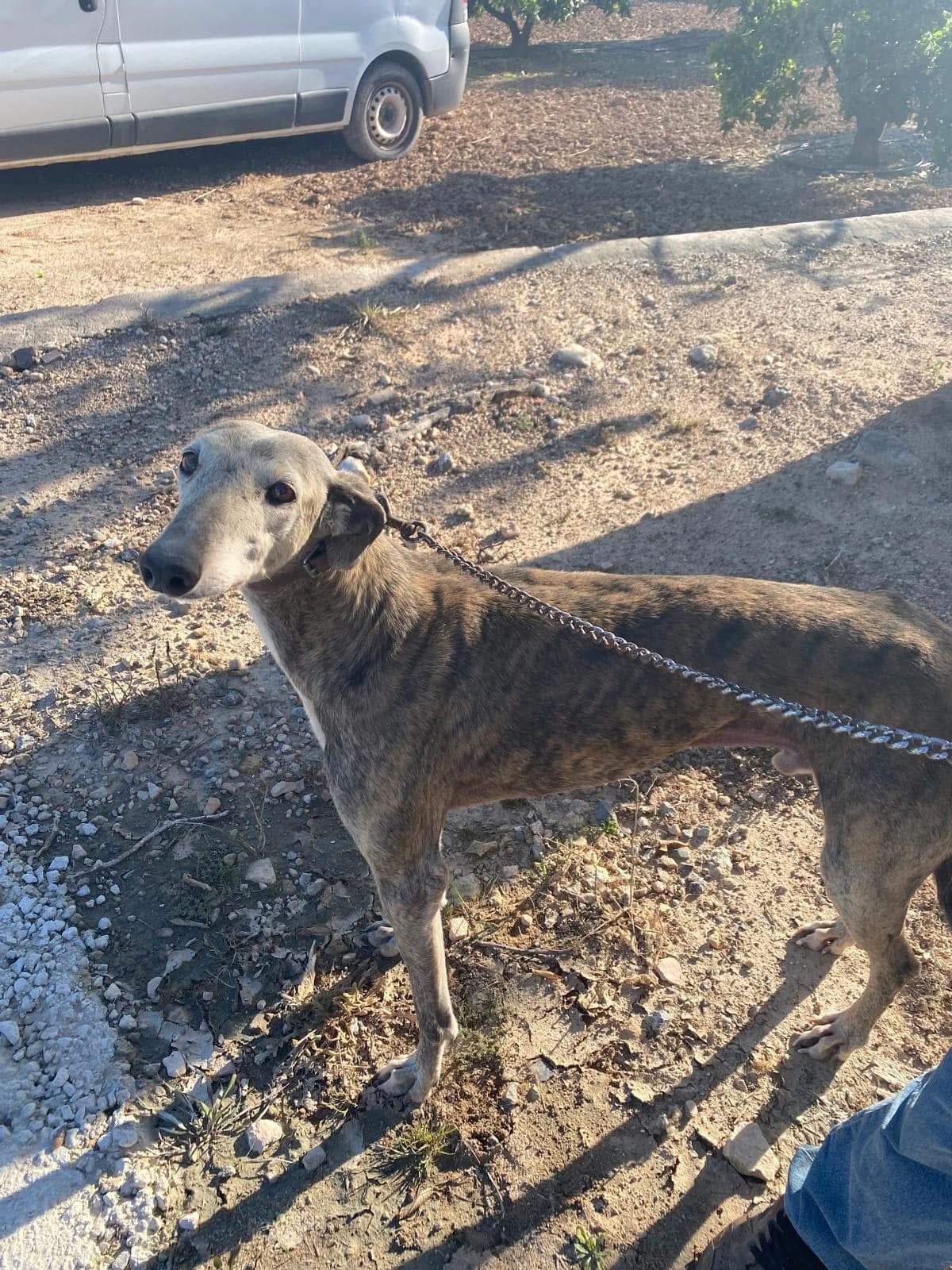 moracho_1135256532147967