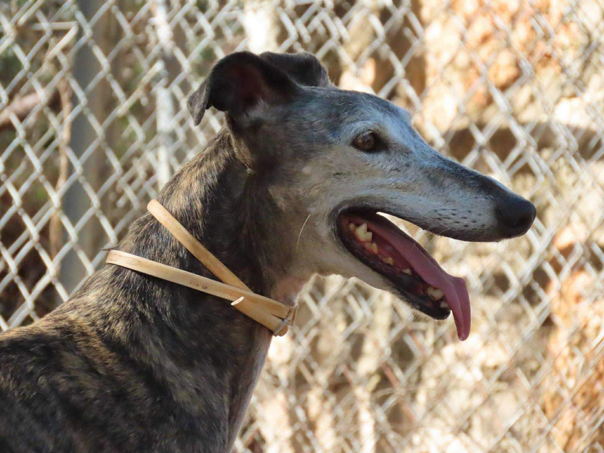 moracho_1139685131705107