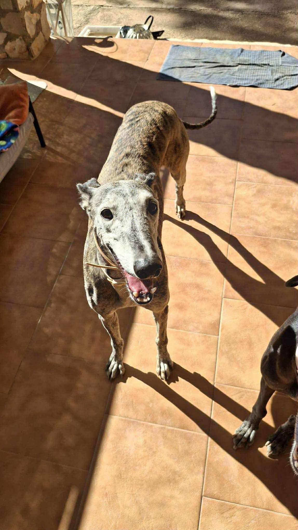 moracho_1139685141705106