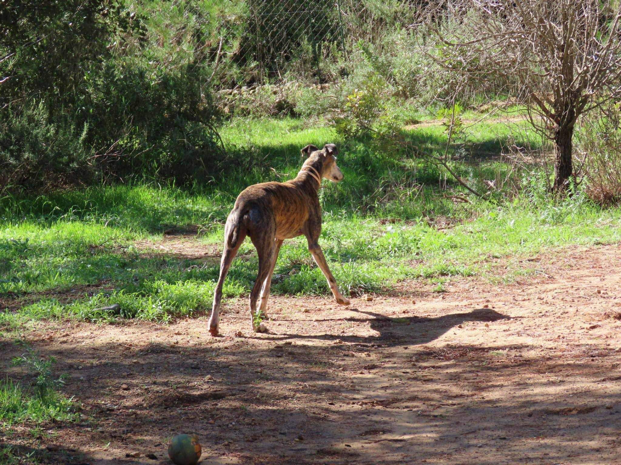 moracho_1139685191705101