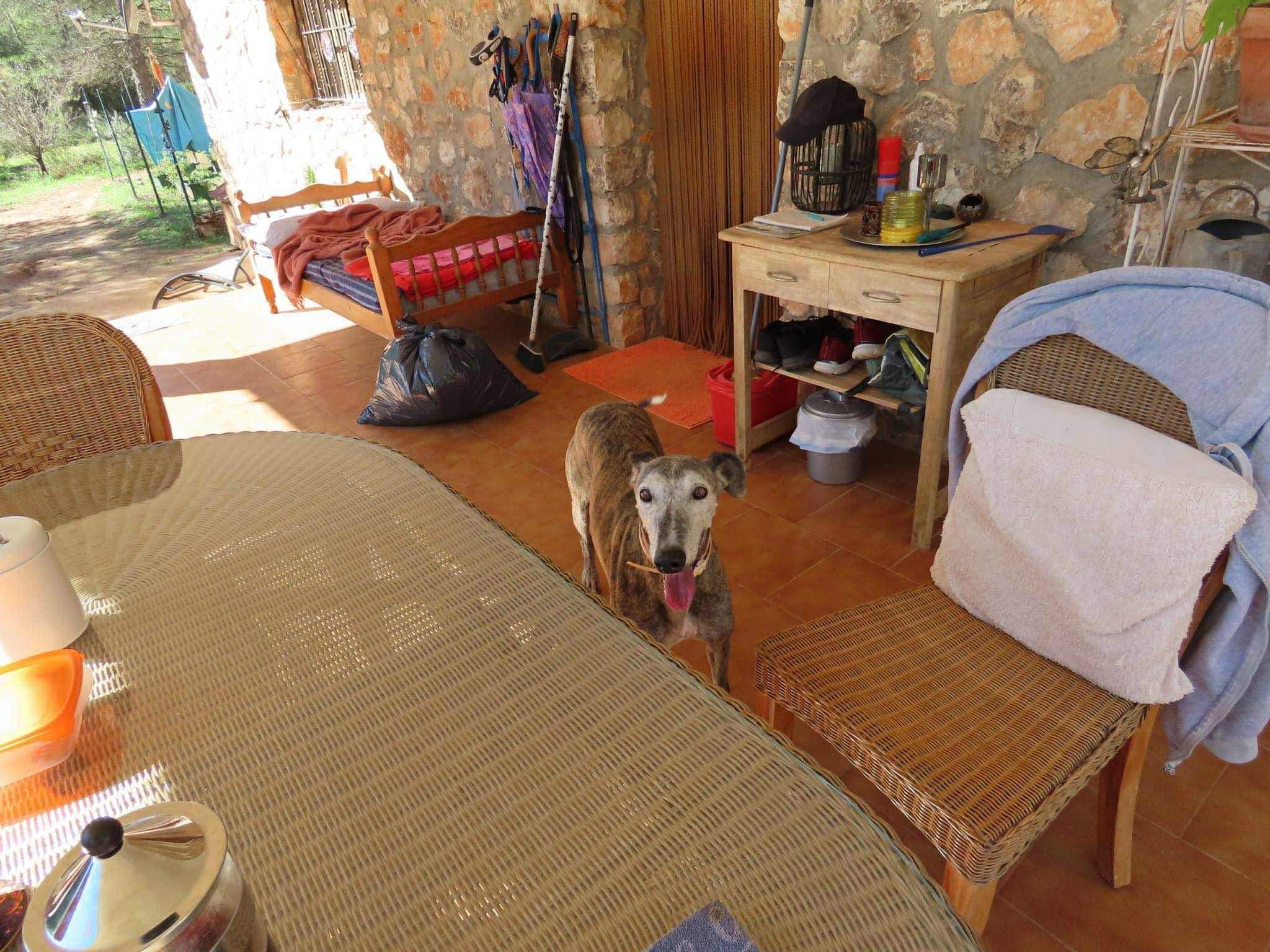 moracho_1139685198371767