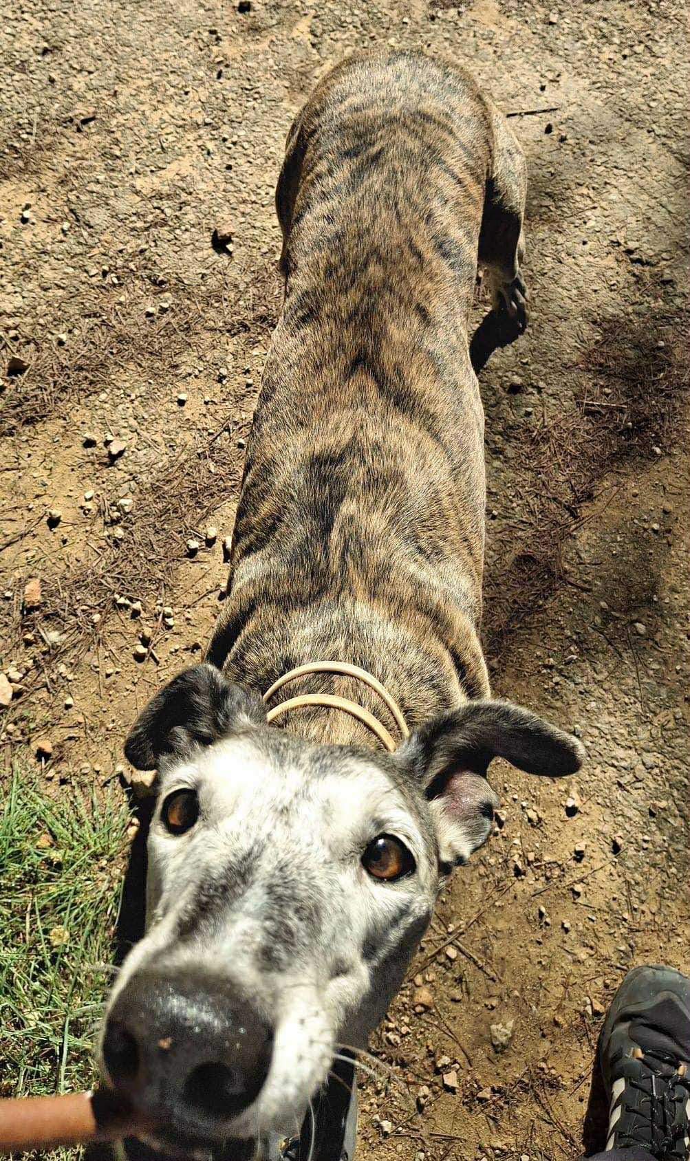 moracho_1139685241705096