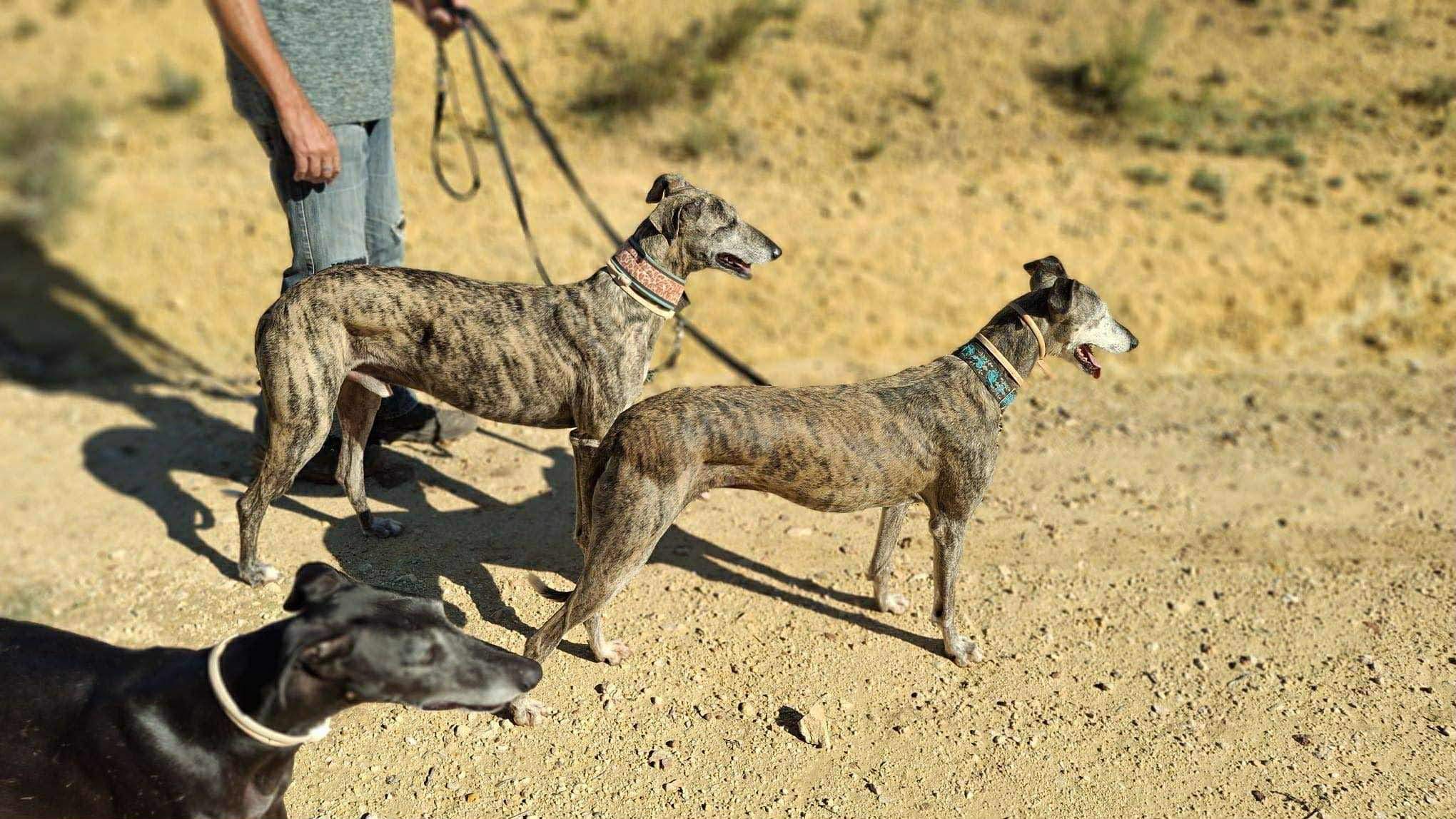 moracho_1139685255038428