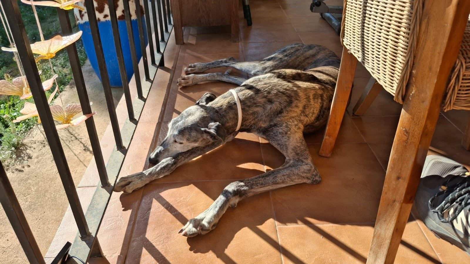 moracho_1176045924735694