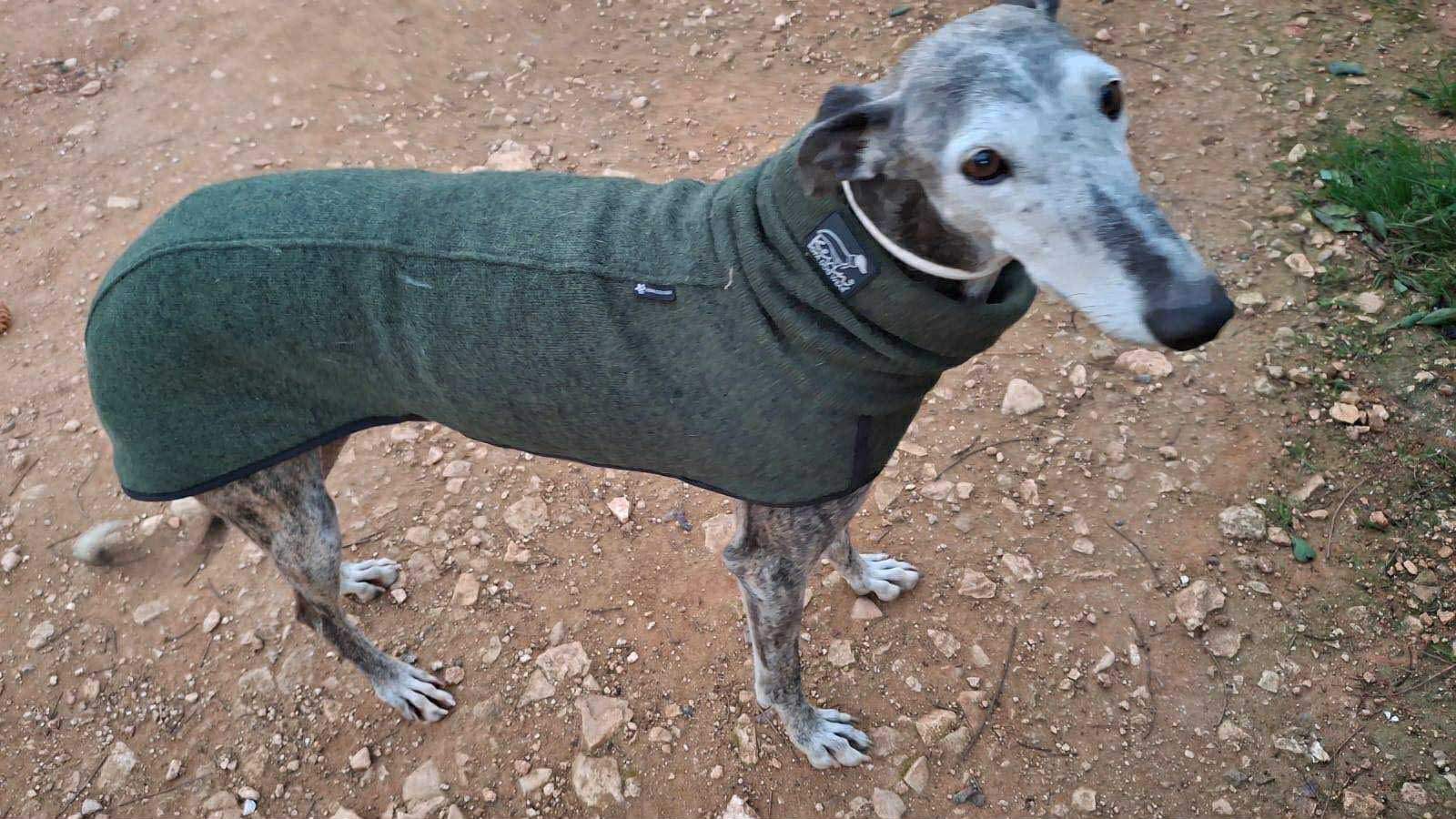 moracho_1176045978069022