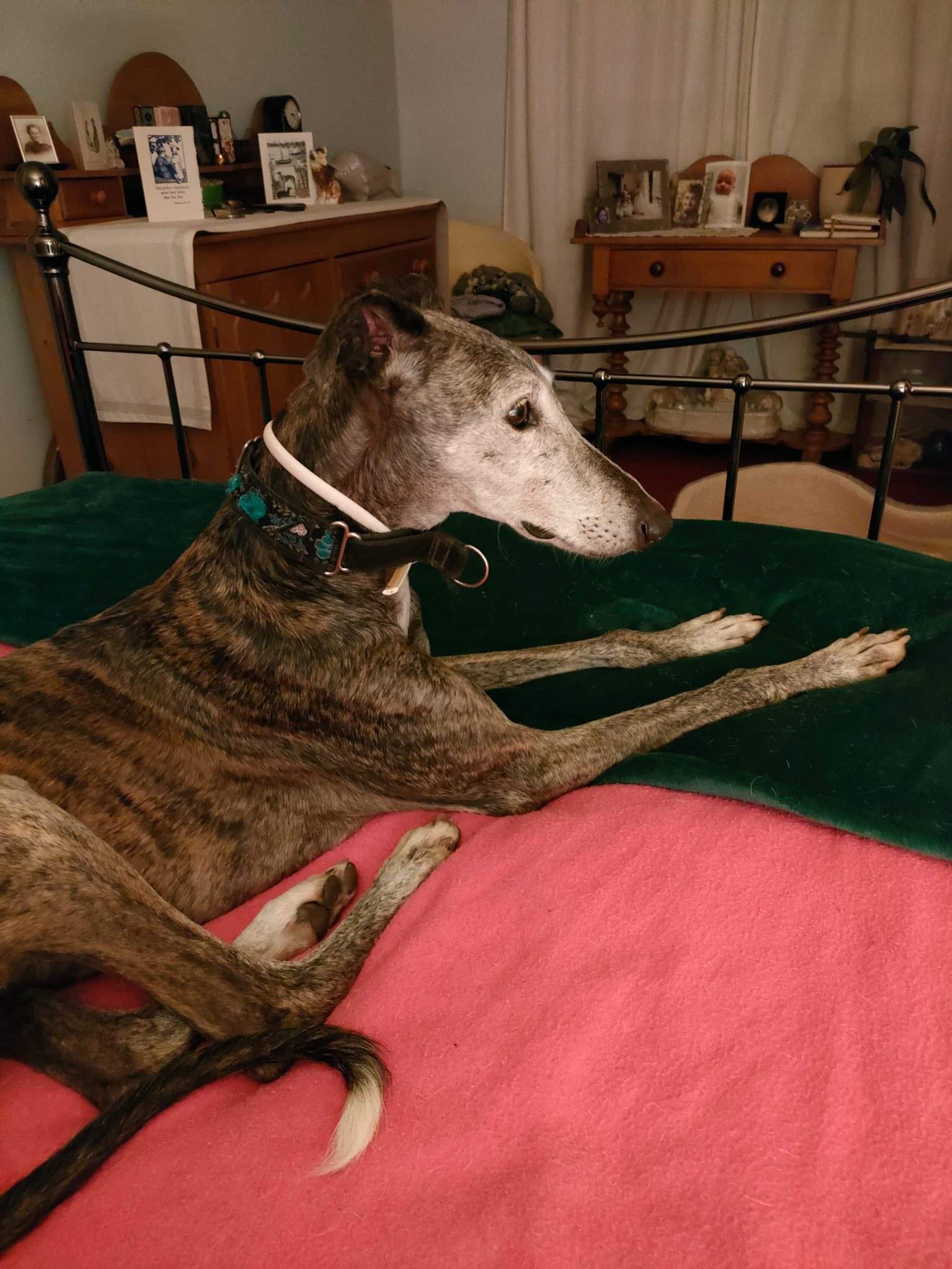 moracho_1201567288850224