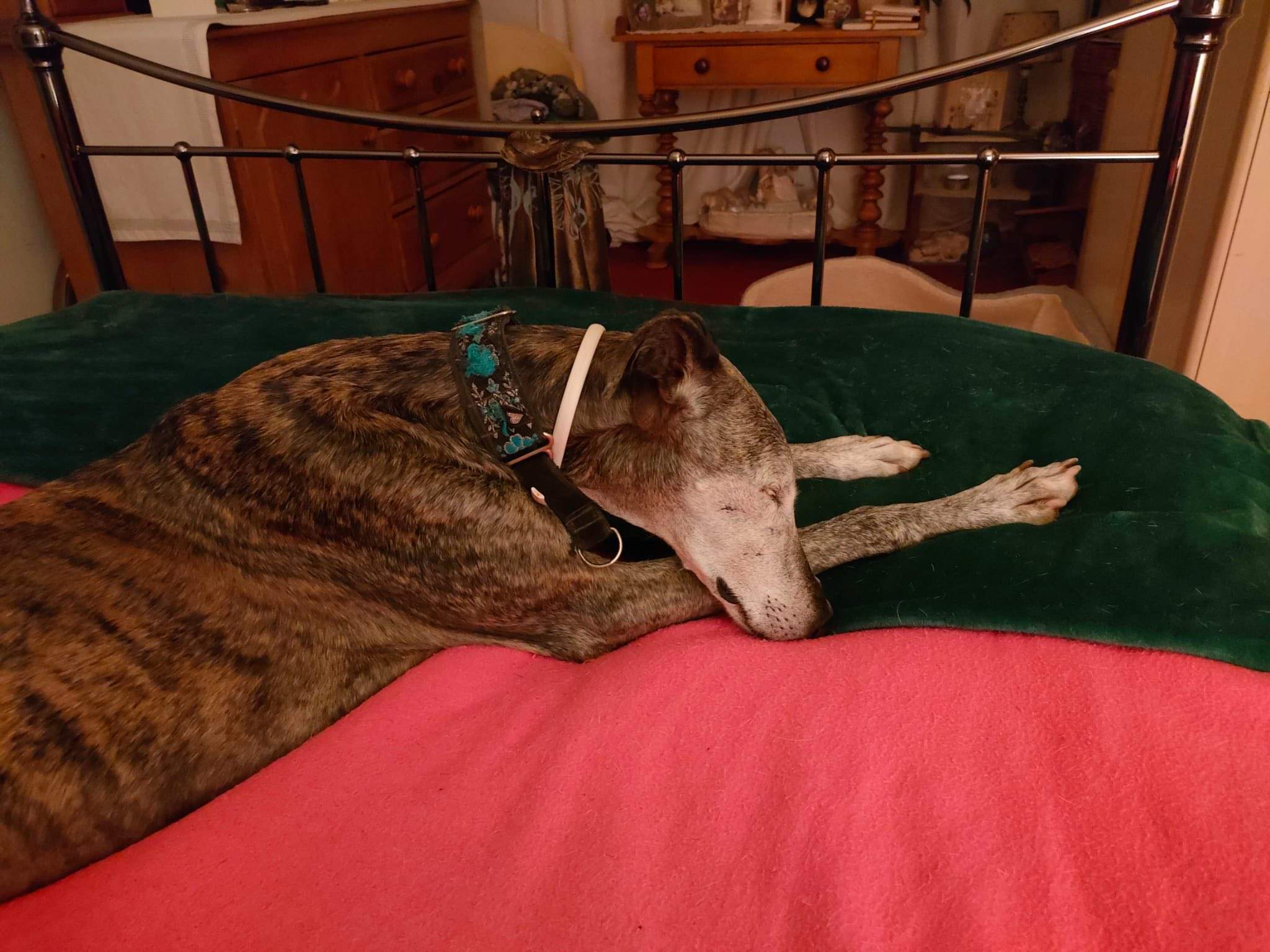 moracho_1201567298850223