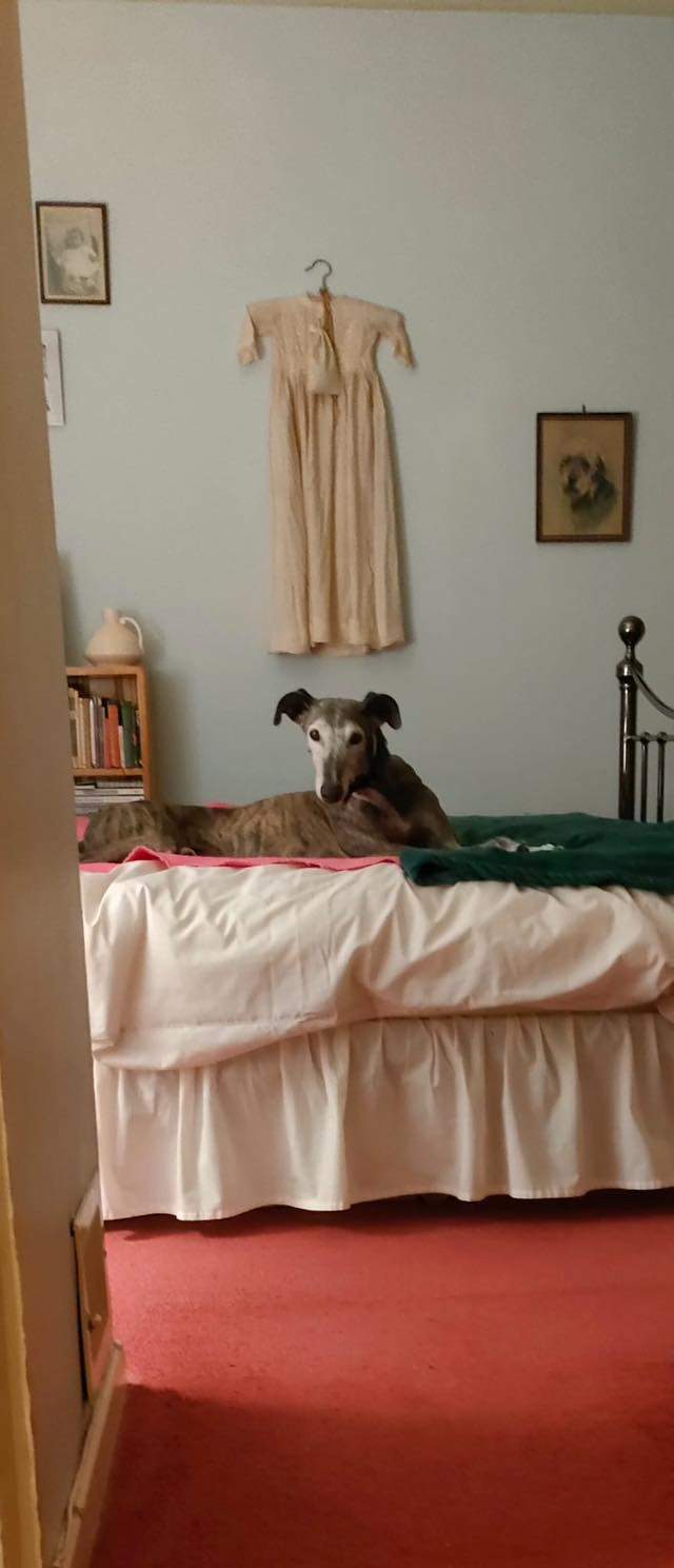 moracho_1201567345516885