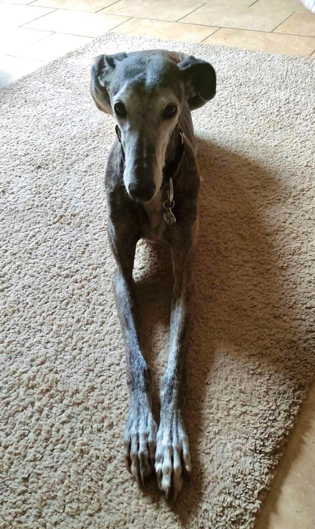 moracho_1204910315182588