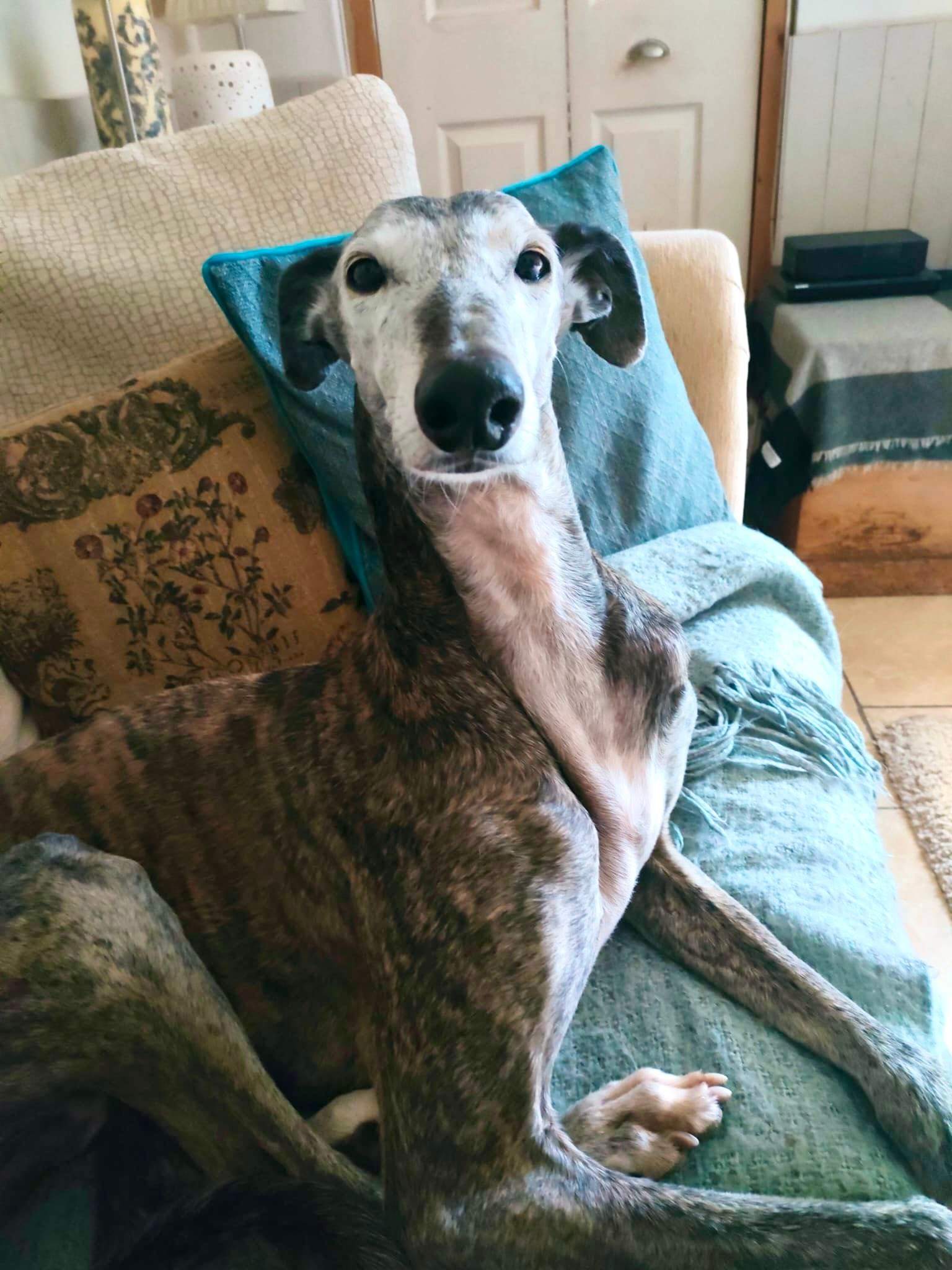 moracho_1207447894928830